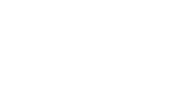 The Outfit